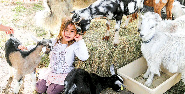 Show lights up Korumburra post image