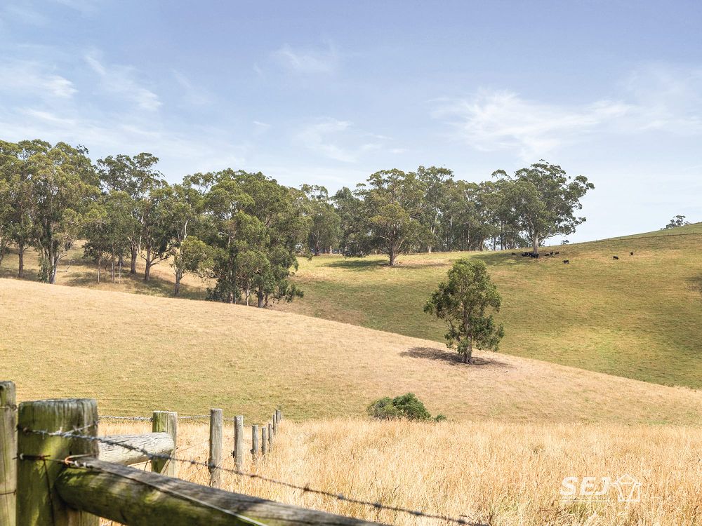 Prime breeding and fattening property with unmatched potential post image