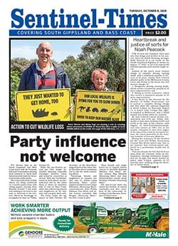 Tuesday, October 8, 2024 post image