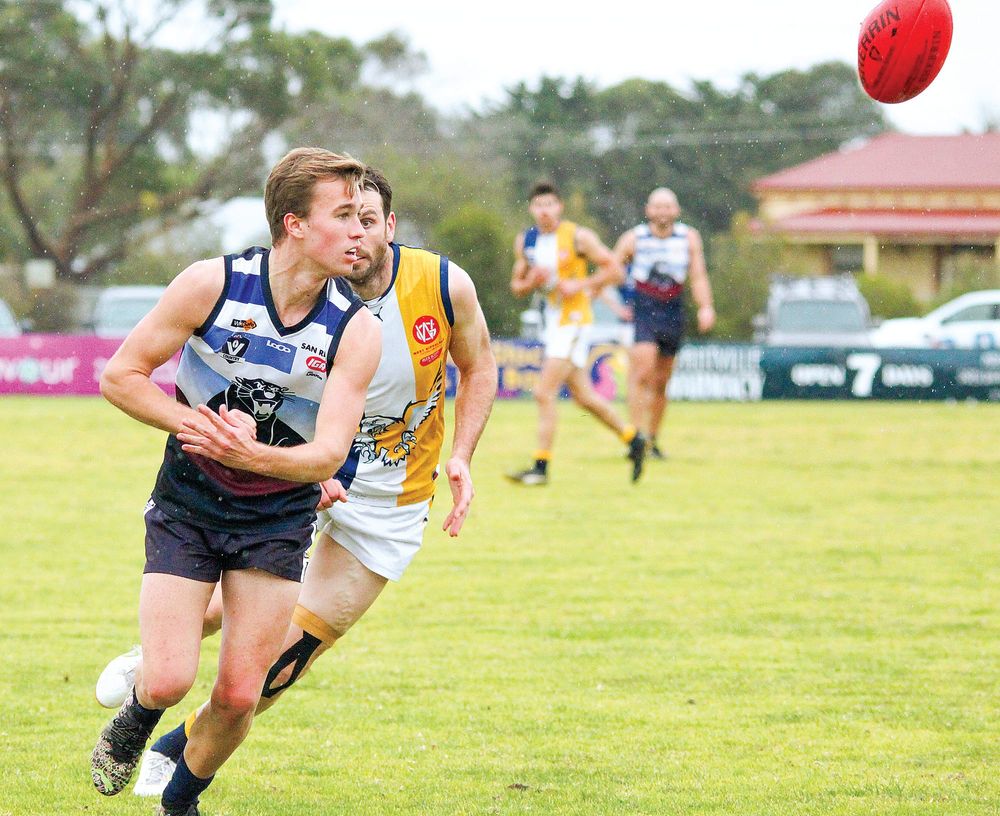 Inaccurate Sea Eagles take down Panthers post image