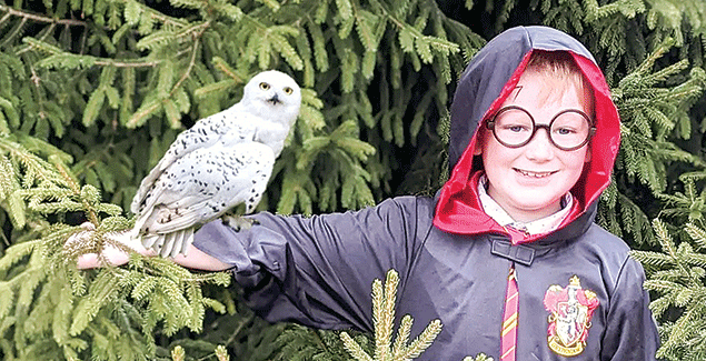 ‘Booked’ out at Korumburra post image