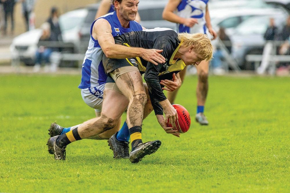 Sharks pick apart Tigers post image