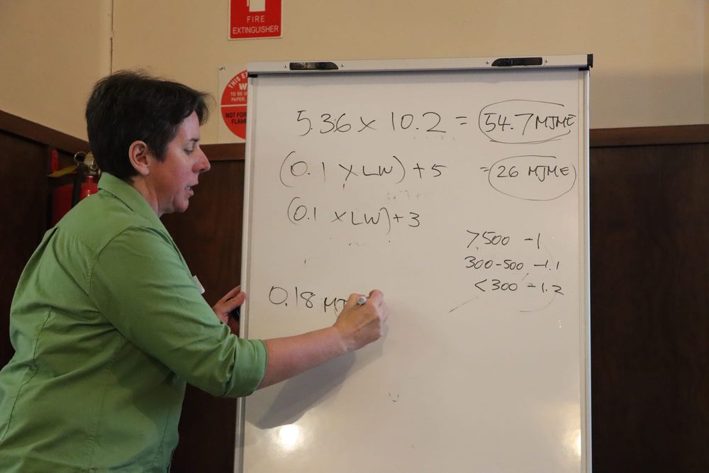 Valuable tips for farmers dealing with dry conditions post image