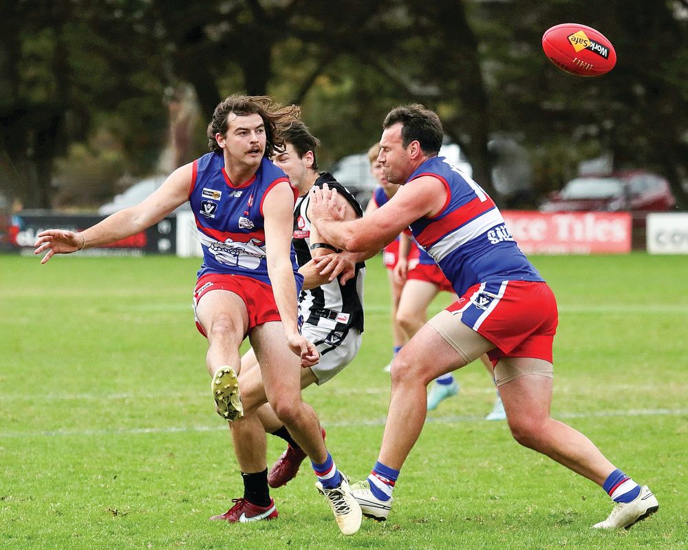 Youthful Bulldogs too nimble for the Pies post image
