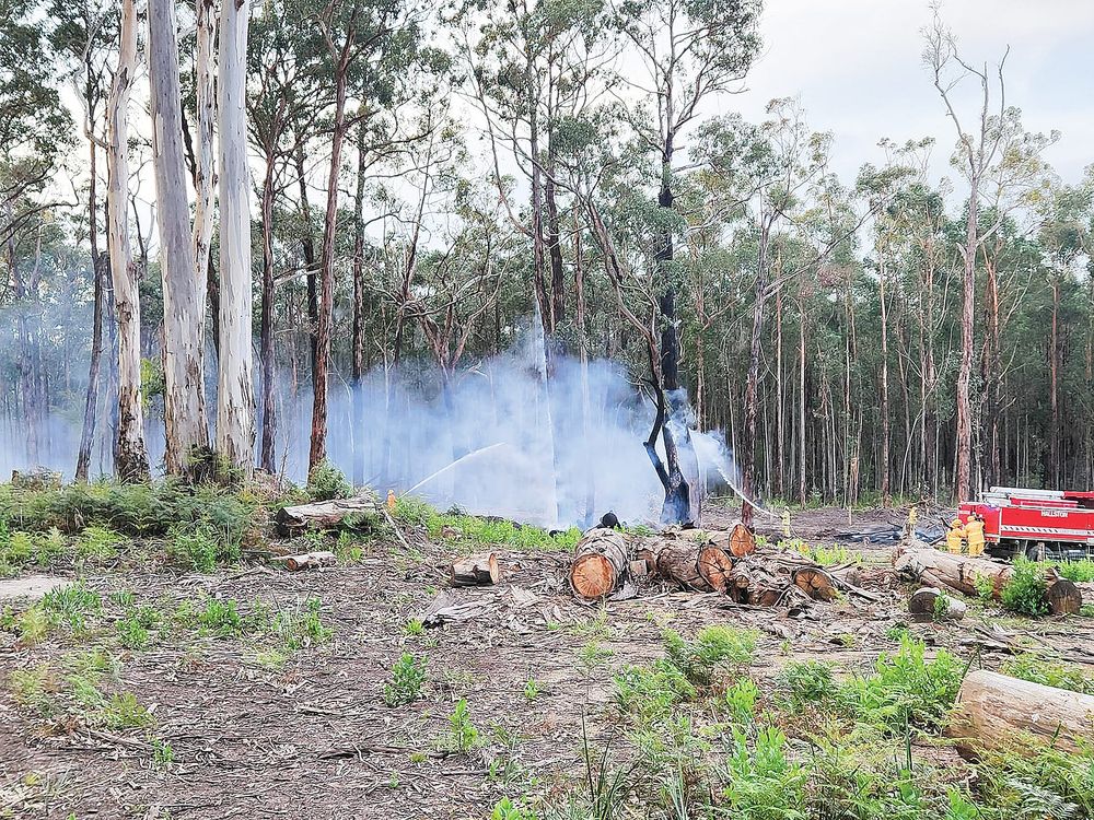 Work to reduce bushfire risk to be undertaken in Mirboo North post image
