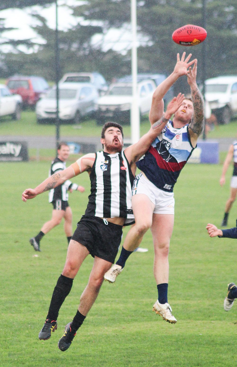 Panthers pounce to vanquish valiant Magpies post image