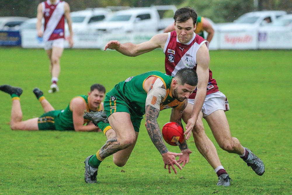 Parrots outplay Traralgon in tough slog post image