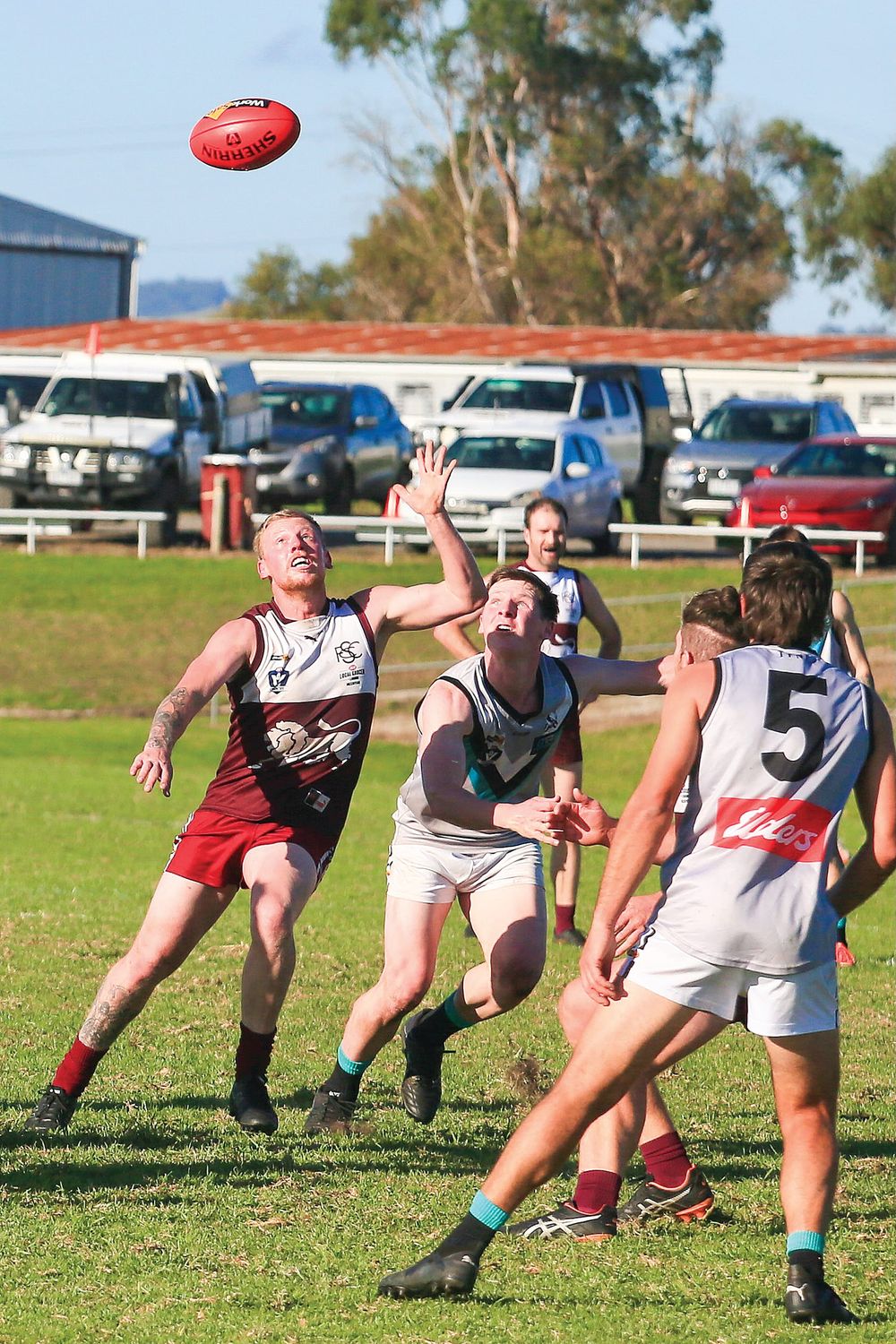 Lions roar to victory post image