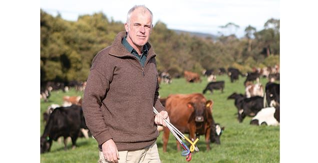Nuffield scholarship helps build a resilient dairy business post image