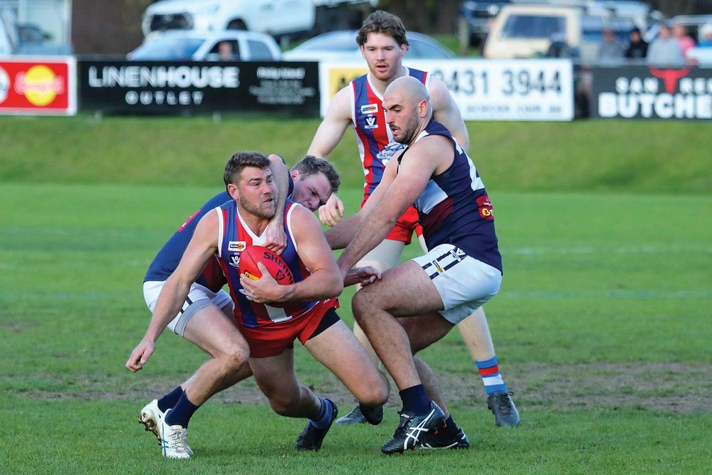 Bulldogs flex their muscles post image