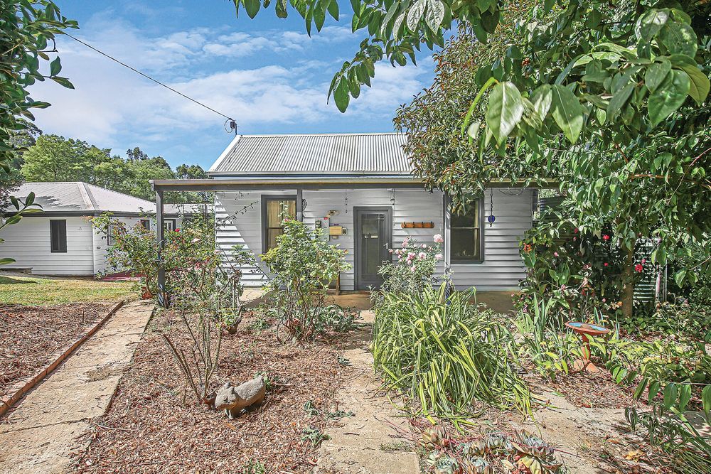 A veggie garden lovers delight post image