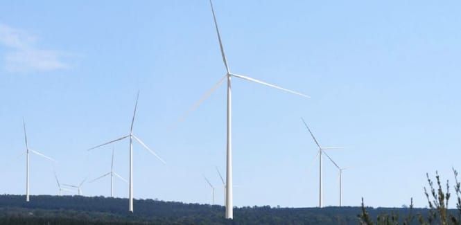 Wind farm receives government tick of approval post image