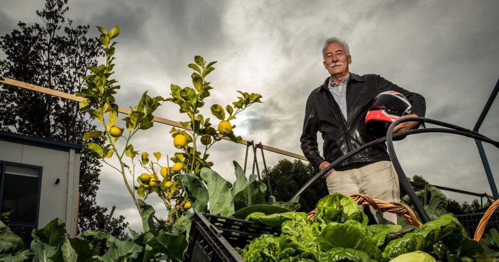 From Soil to Plate: Bass Coast Shire Council invites residents to ‘Garden Gems’ workshops post image