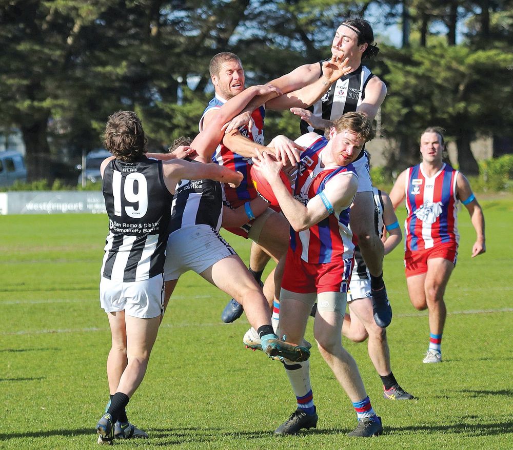 Bulldogs unleash a kennel rampage post image