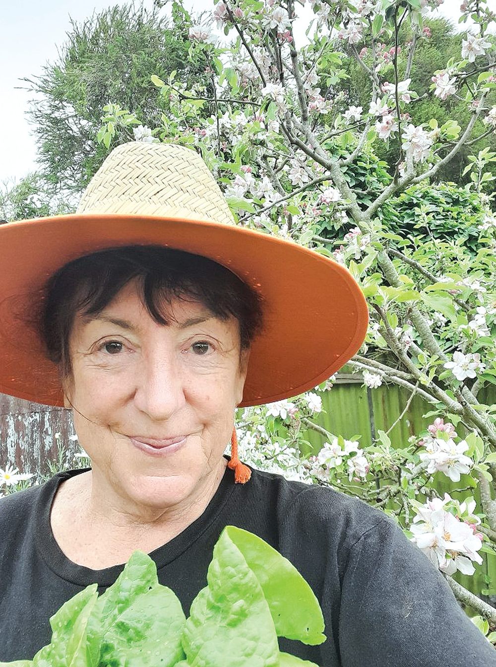 Resident shares Robodebt nightmare post image