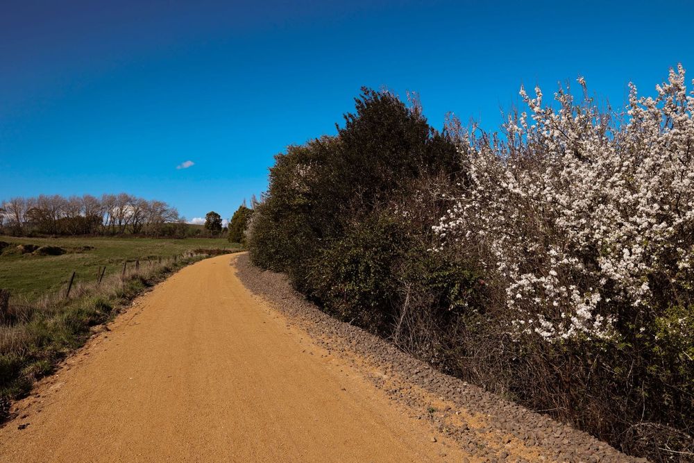 From disused railway land to new trail post image