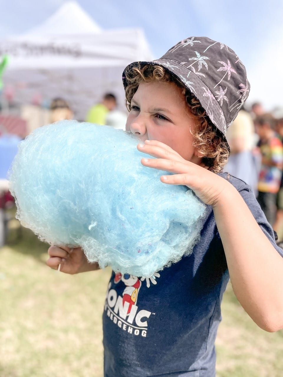 IKPS presents the 2024 Great Fete this Saturday post image