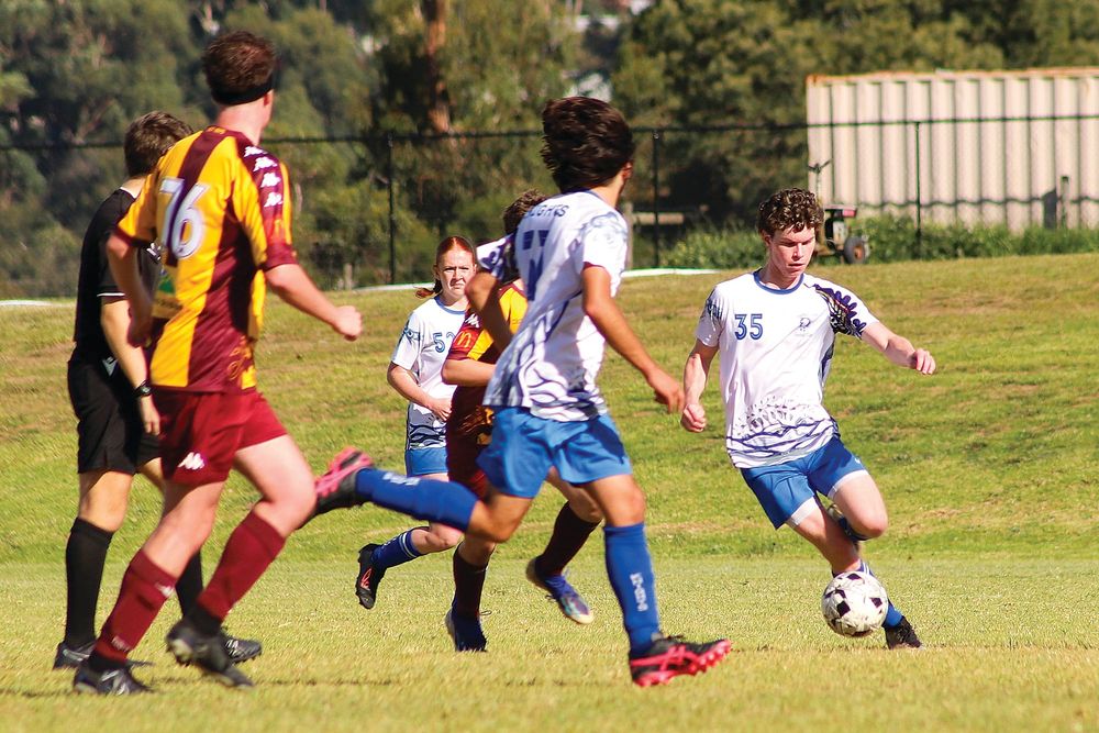 Knights secure hard fought win over Drouin post image