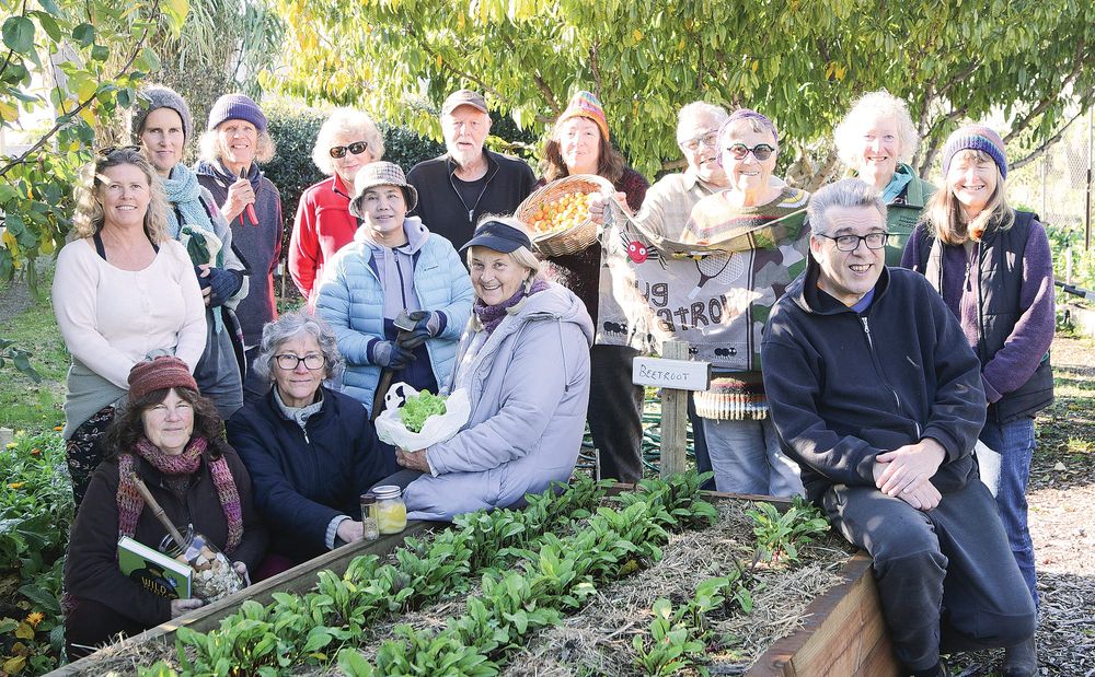 Sustainable gardening practices with Garden Gems workshops post image