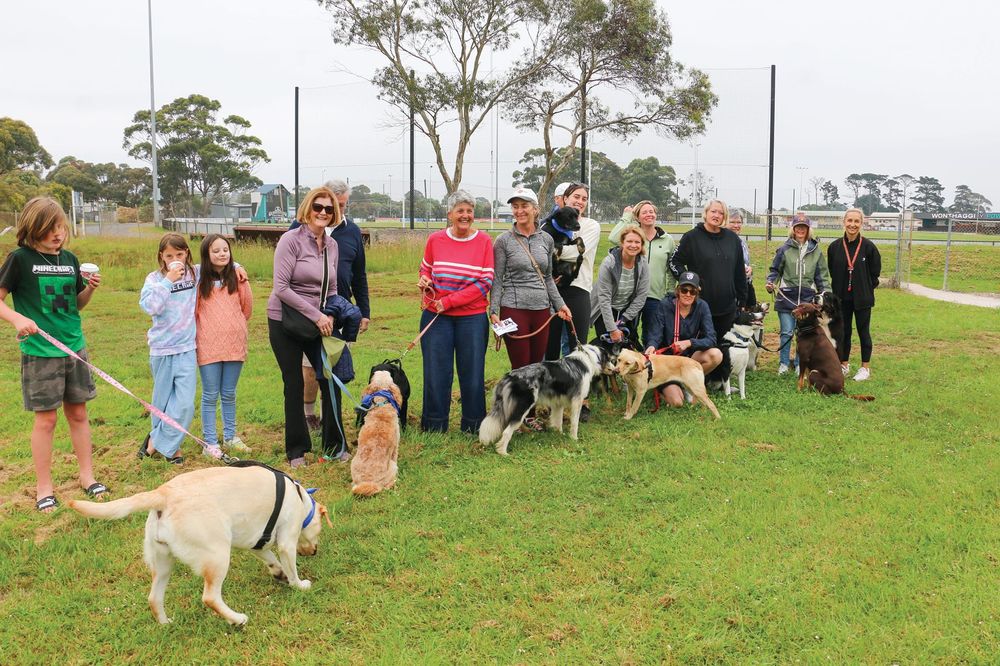 Community backs Paws for a Cause post image