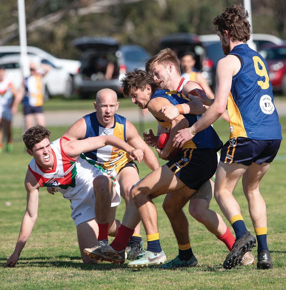 Sea Eagles swoop in post image