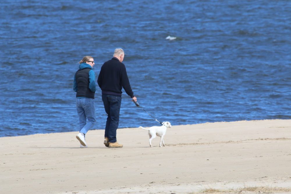 Bass Coast Mayor calls for coast erosion overlay post image