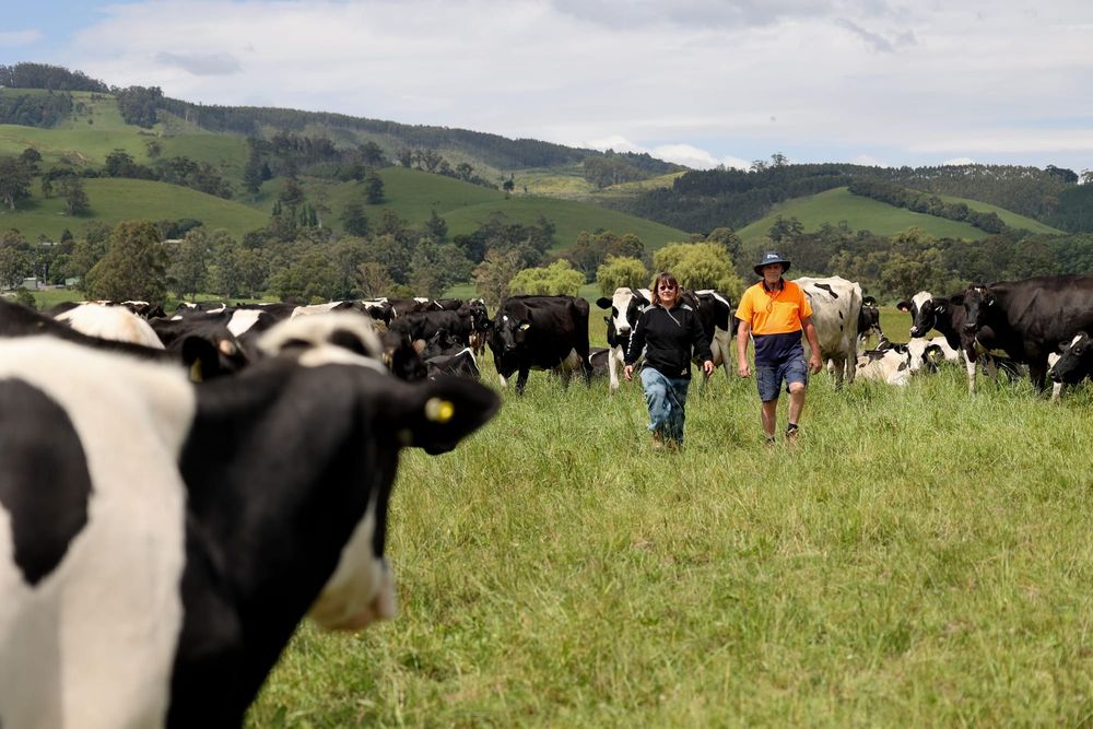 Local UDV call for $10 was right on the money post image