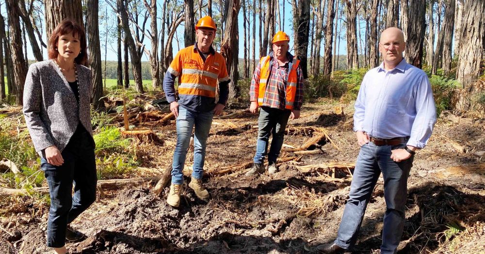 ‘I just want to put food on the table’: Timber concerns rife post image