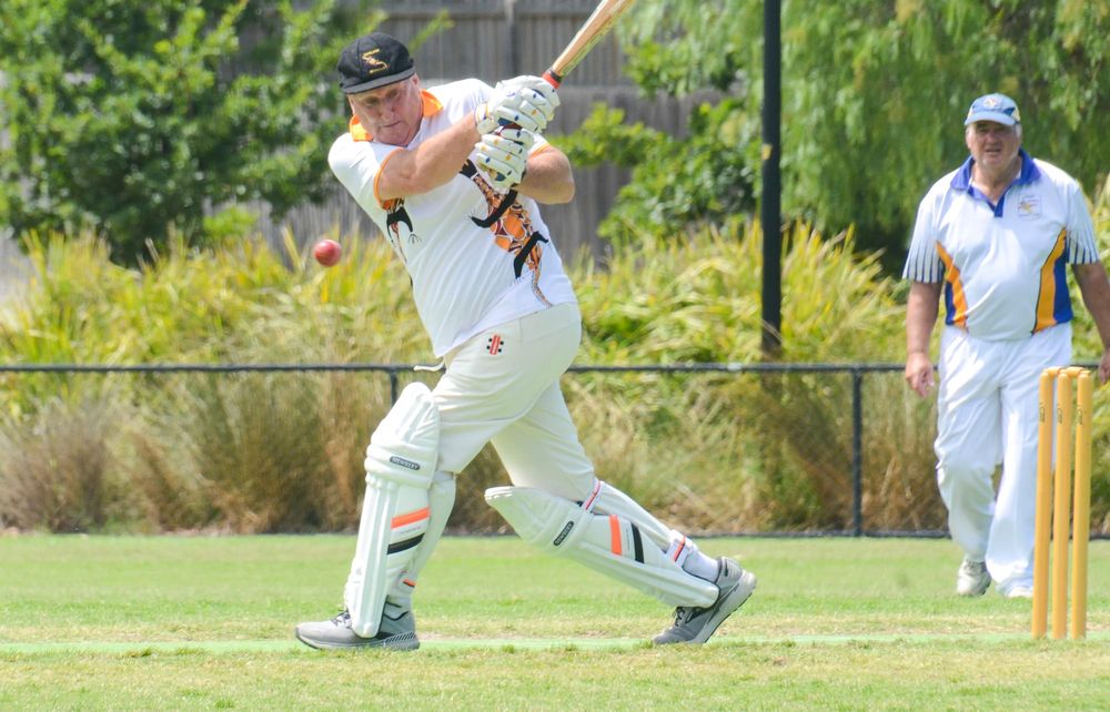 Goannas’ triumph post image