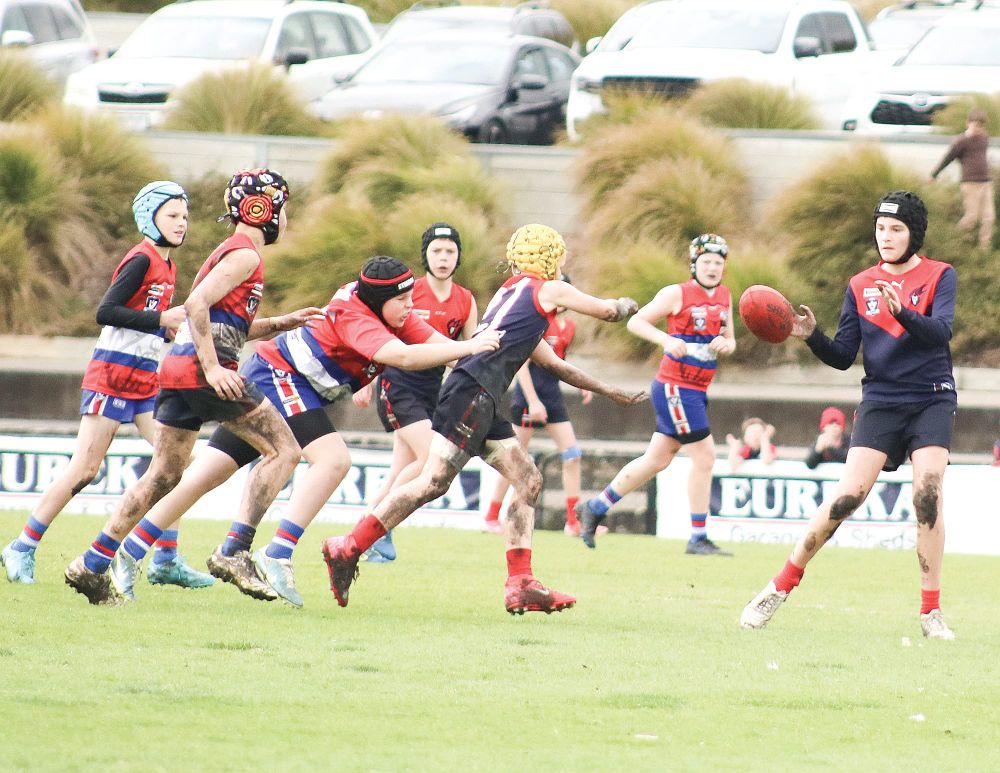 South Gippy teams dominate Central Gippsland juniors post image
