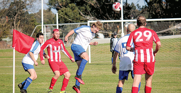 Knights maintain top billing over the Victory post image