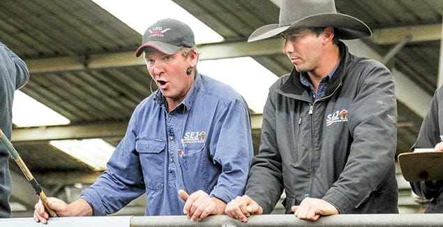 Busy times at Koonwarra post image