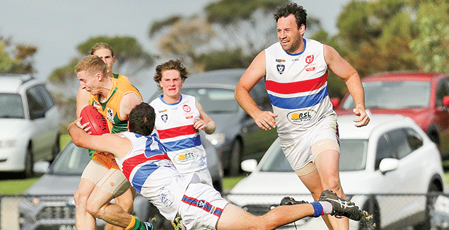 Bulldogs too strong post image