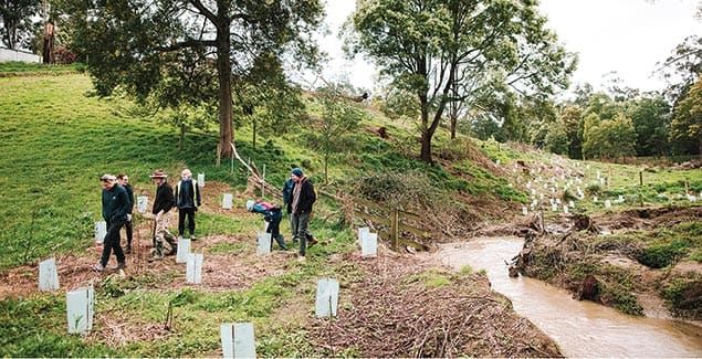 Nature activities for young veterans post image