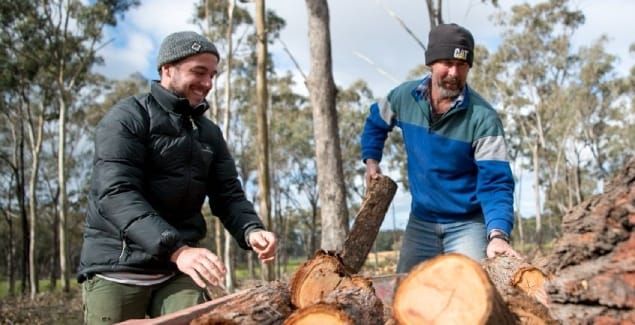 Autumn firewood collection period open post image