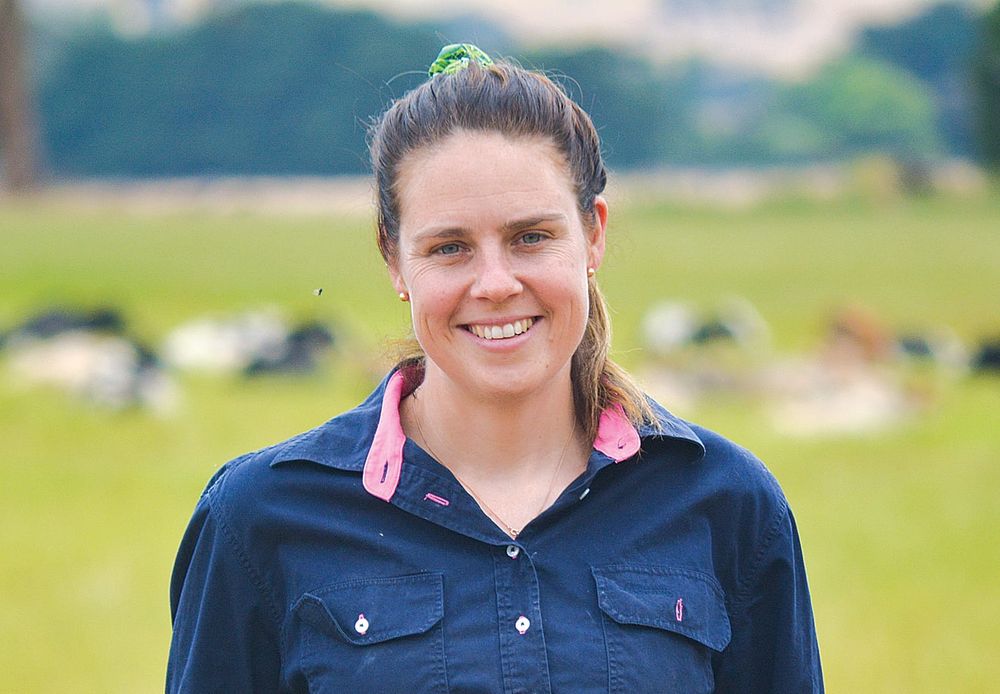 Heywood farmer invests in ‘happy girls’ post image