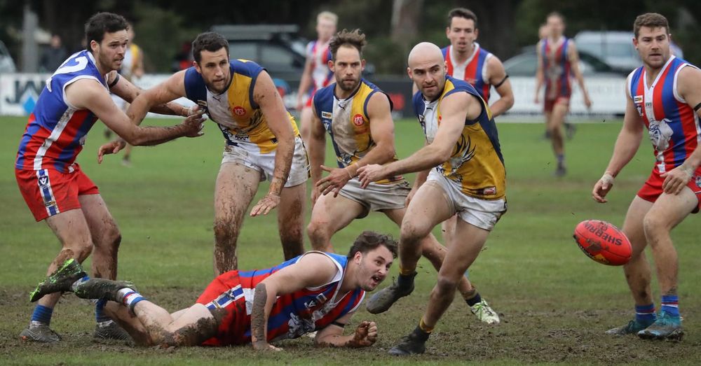 West Gippy says goodbye to 2021 post image