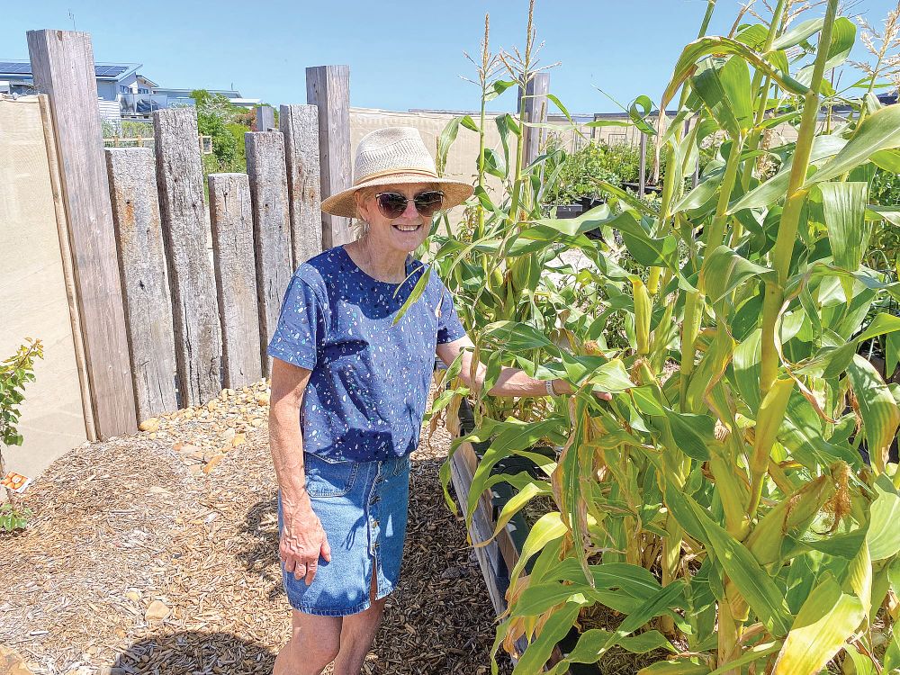 See how my garden grows post image