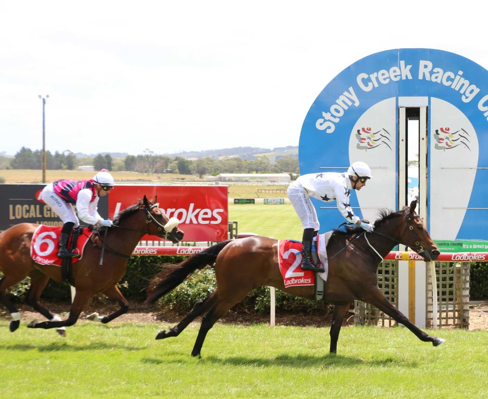 Pink Roses Day washout at Stony Creek post image