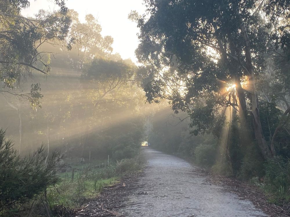 Morning sun rays captures judges hearts post image