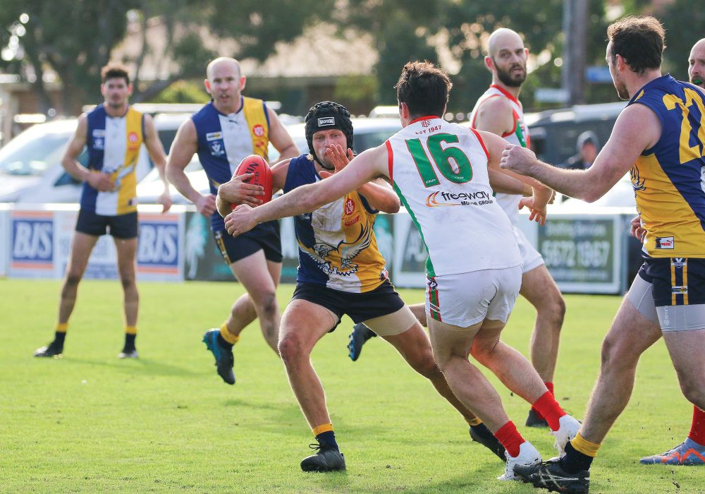 Sea Eagles make a statement at home post image