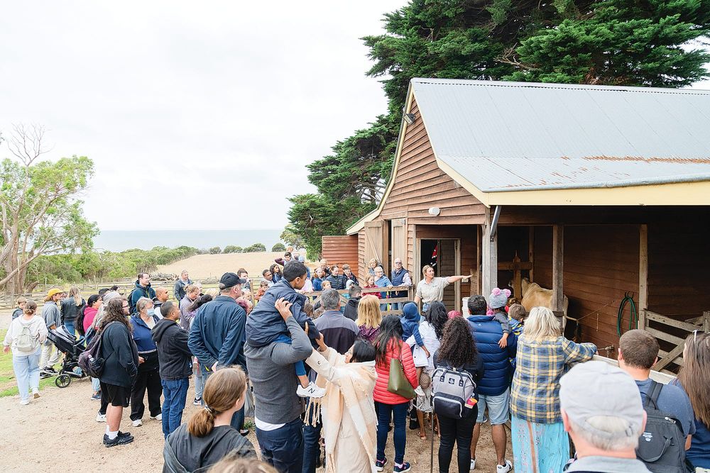 Phillip Island Nature Parks to welcome community post image