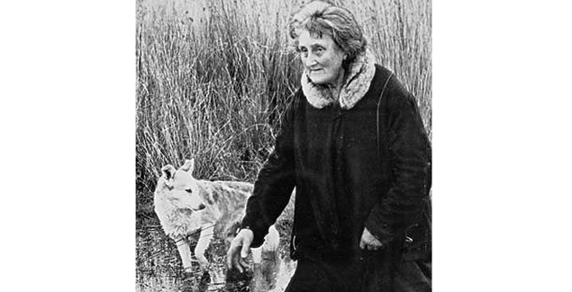 Lady of the Swamp theories died with Dave post image
