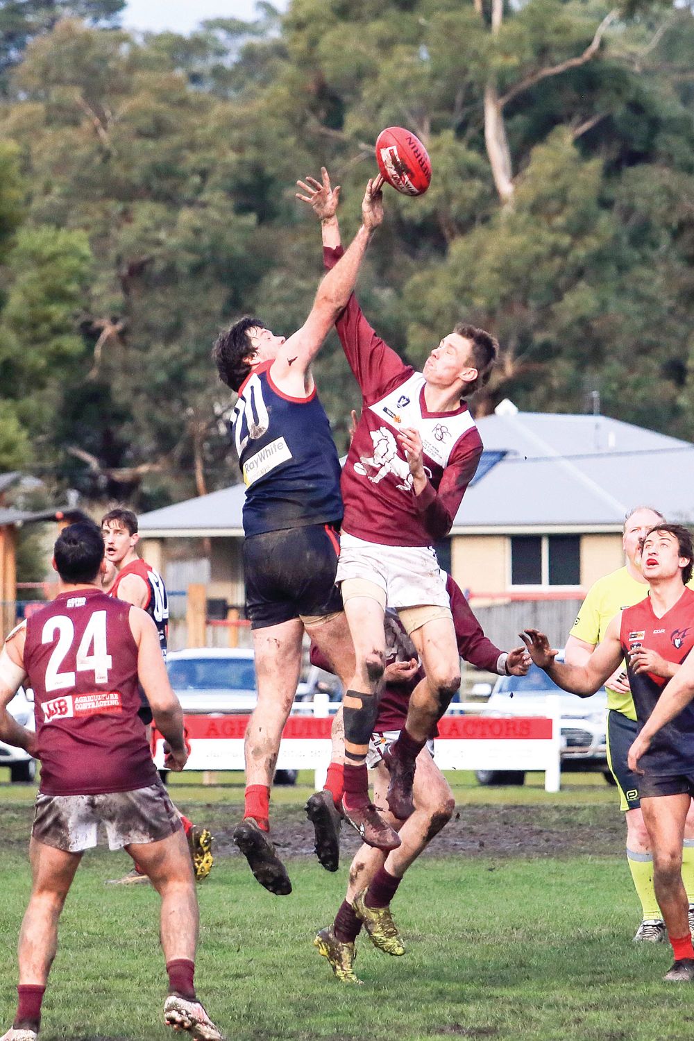 Final hurrah for Demons and Lions post image