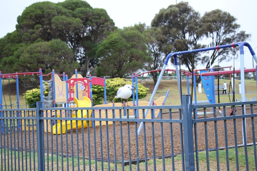 Calls for San Remo foreshore reserve to be returned to community management post image