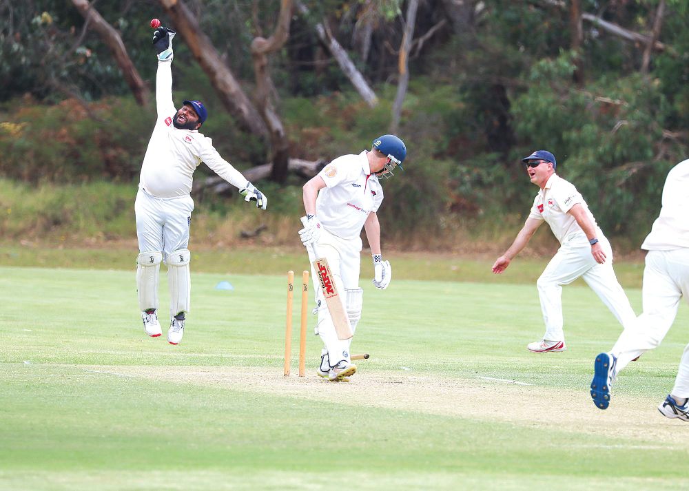 OMK outclass the Cobras post image