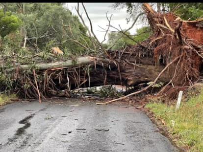 Mirboo North residents urged to save water post image