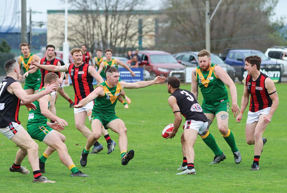 Parrots send Eagle feathers flying in Leongatha post image