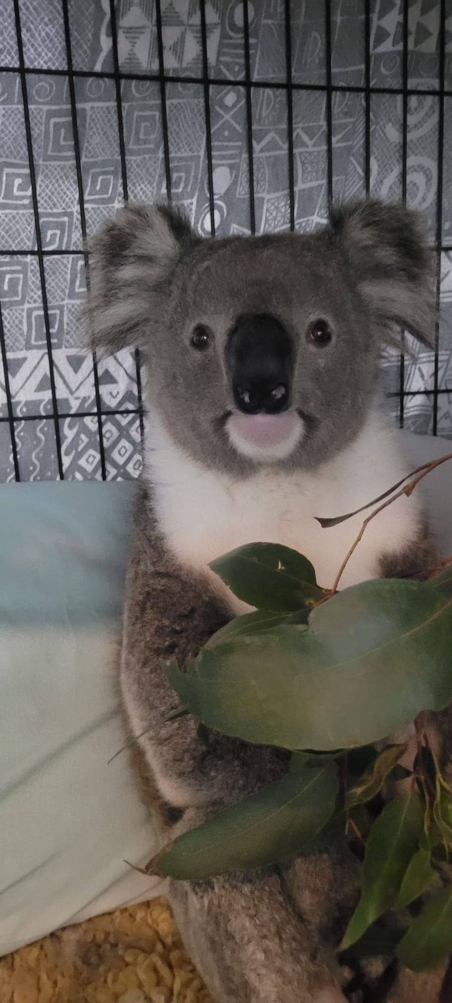 People of Post grants program as charities face cost-of-living crisis post image