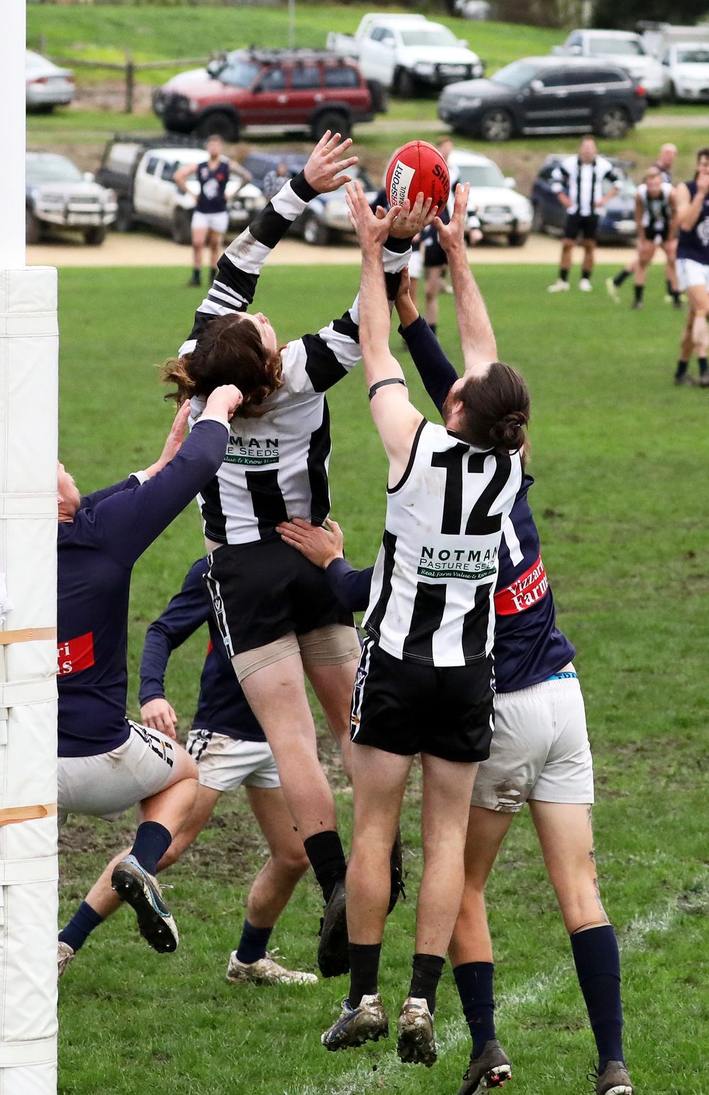 Magpies seal the deal against Catani post image